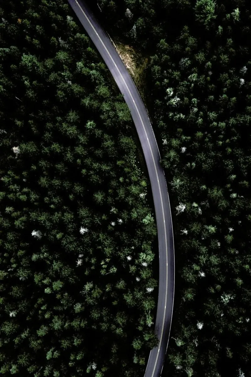 A Long Road To Nowhere @ReeseLassman canvas by EyeEm Mobile GmbH