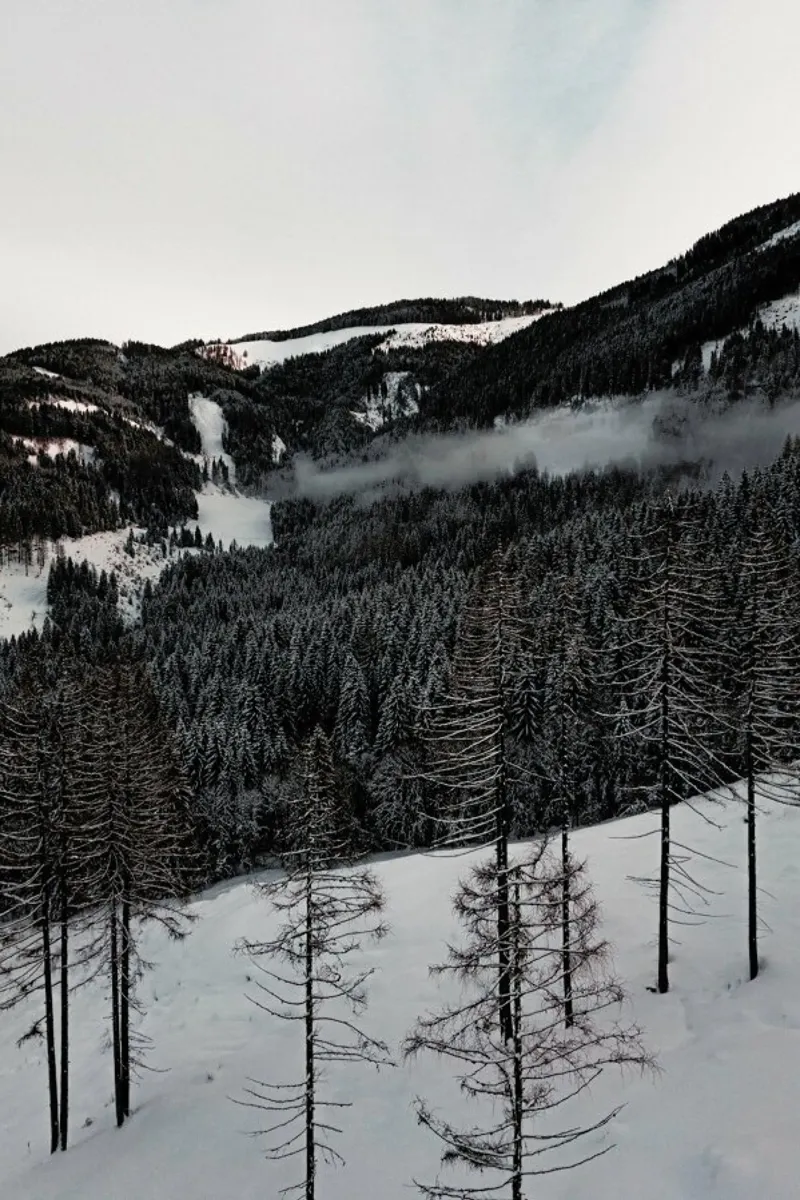 A Calm Winter's Day pellicola backlit da Sebastian Hilgetag