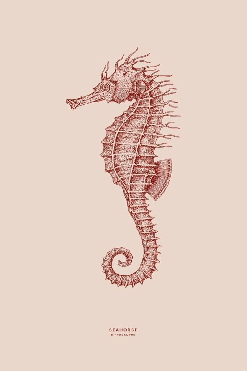 Seahorse II poster by Flora & Fauna