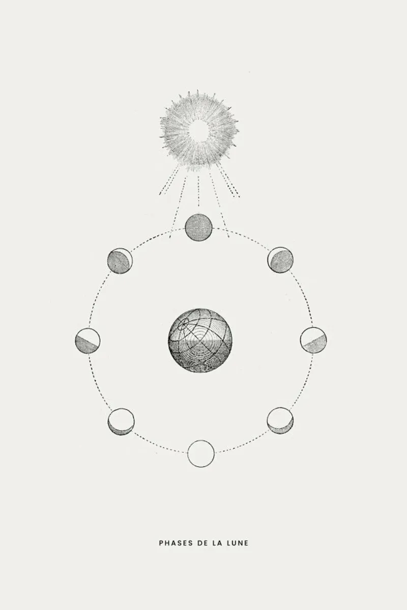 Phases de la Lune plexiglass da Flora & Fauna