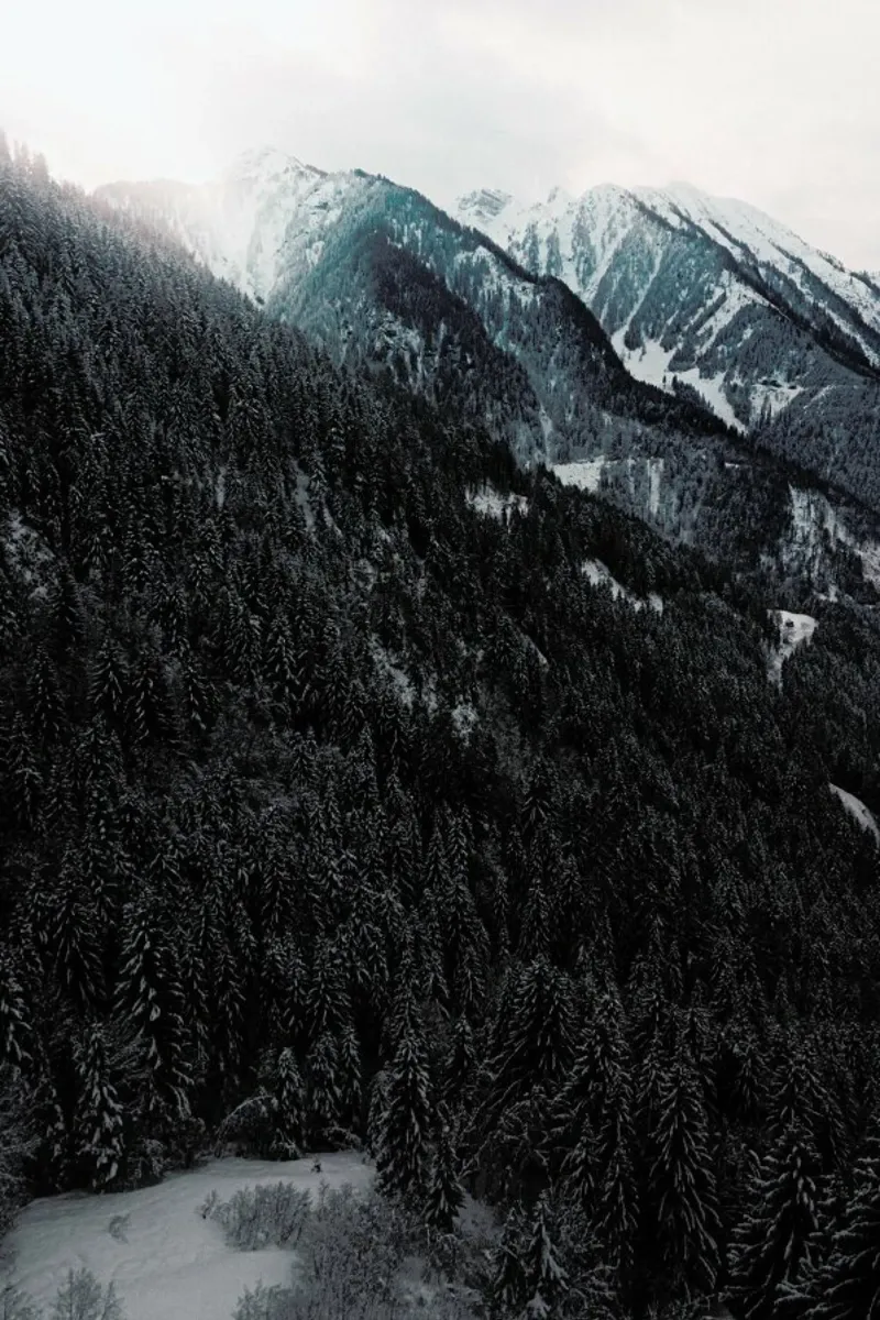 Snowy Peaks in the Alps pellicola backlit da Sebastian Hilgetag