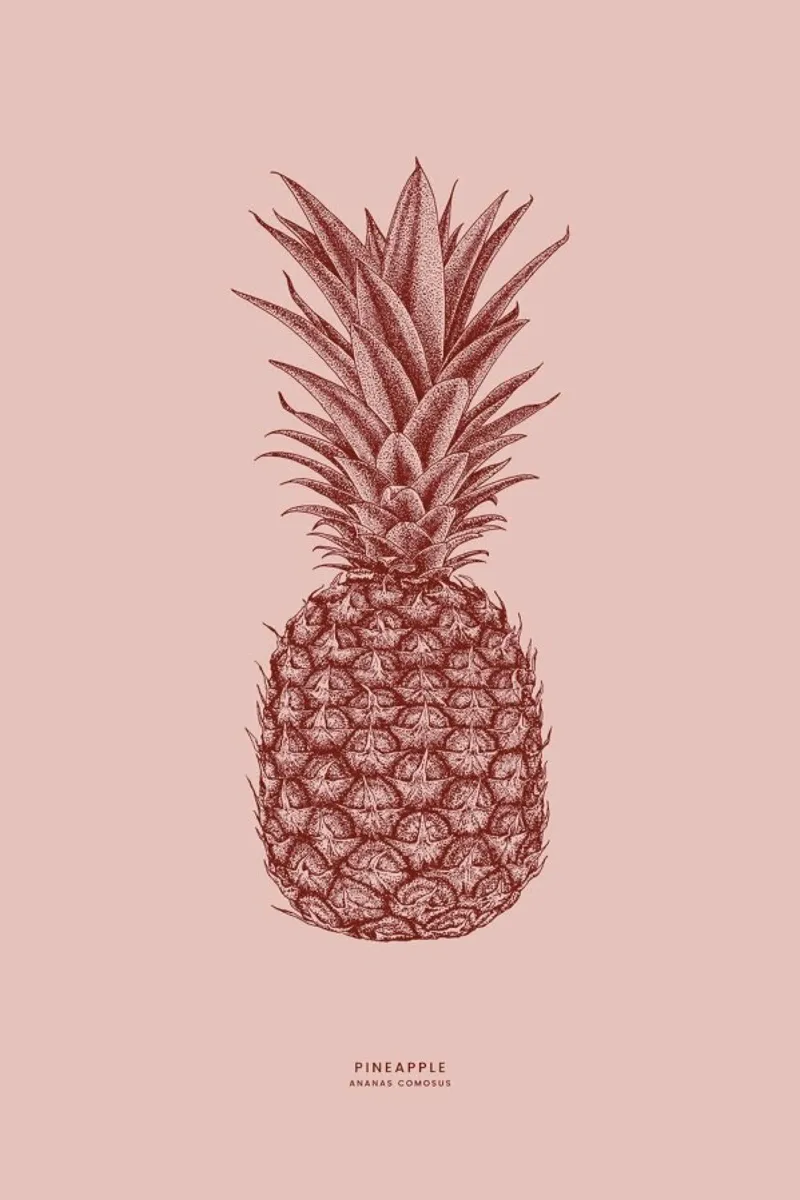 Pineapple II pellicola backlit da Flora & Fauna