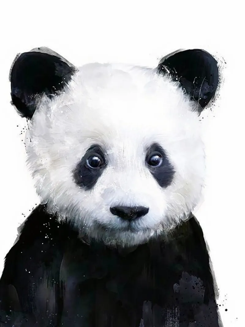 Panda Bear Art Print poster de ZARAH