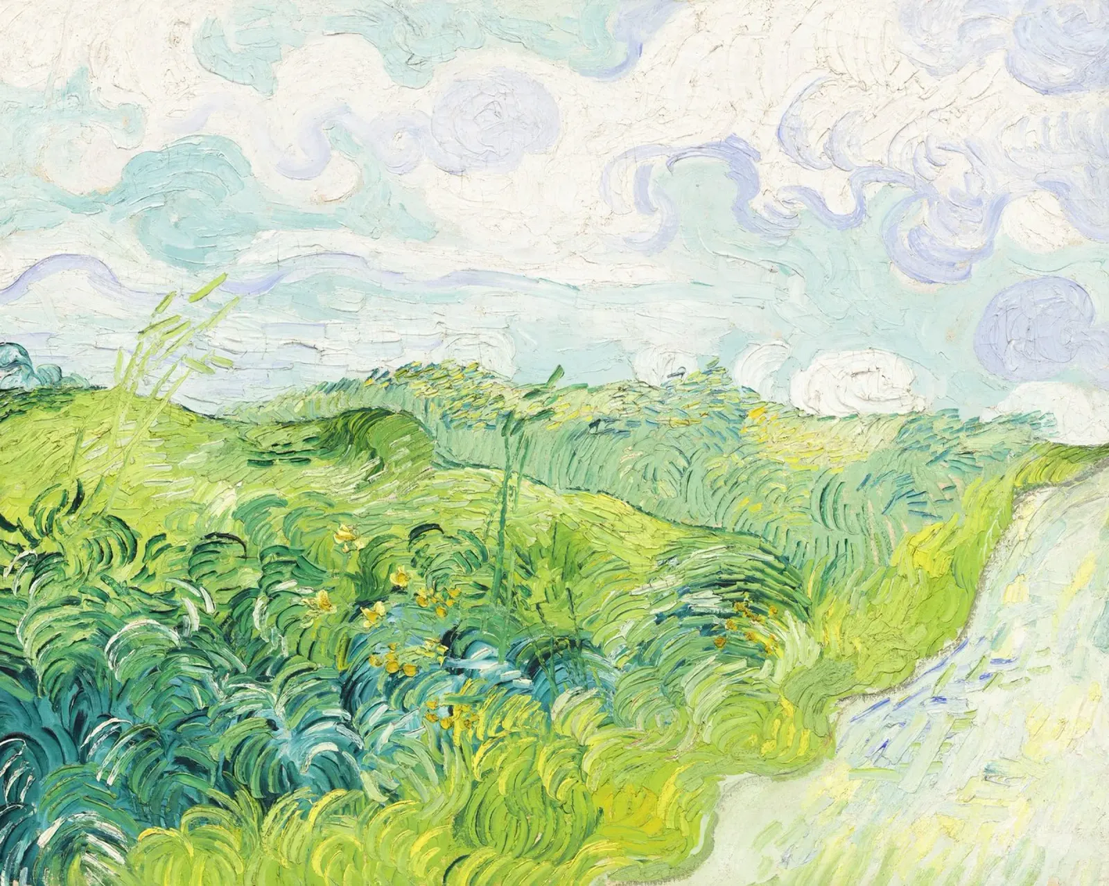 Green Wheat Fields, Auvers by Vincent van Gogh pellicola backlit da Van Gogh Prints