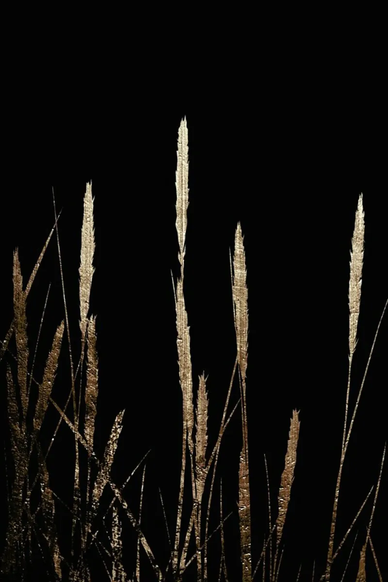 Golden Fields In The Dark plexiglass da Kubistika