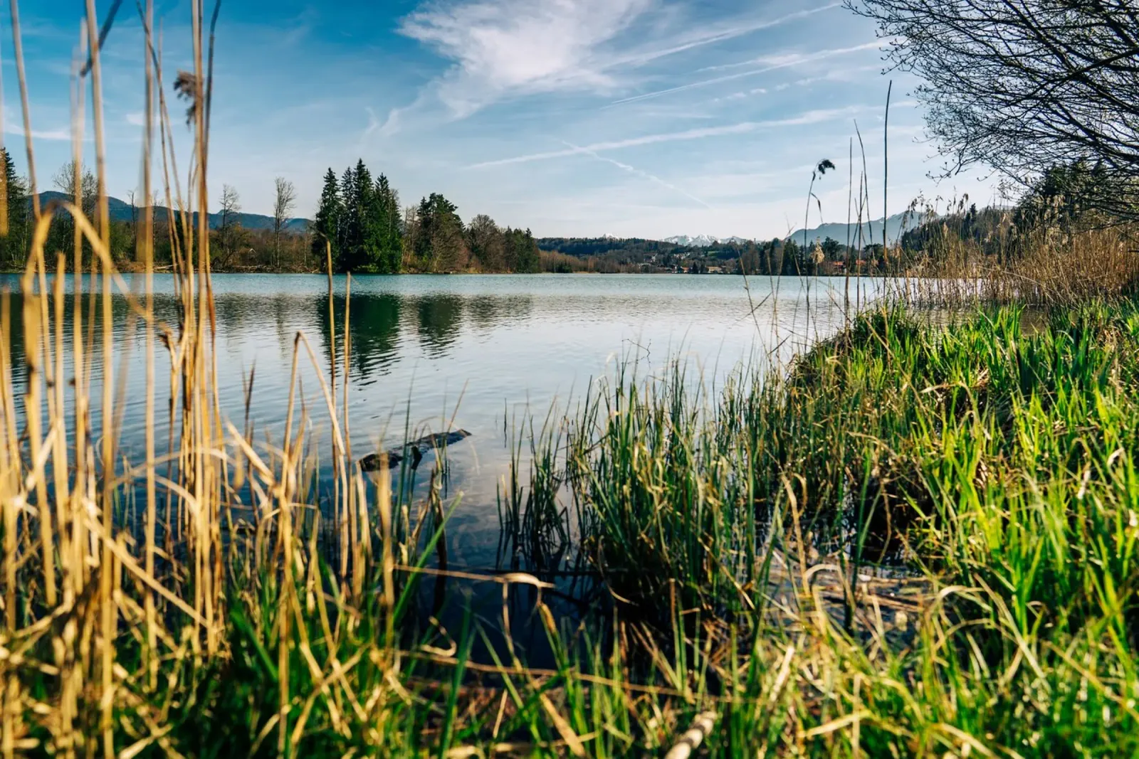 Vista sulle rive dell'Isar in Baviera alluminio dibond da 5ecken