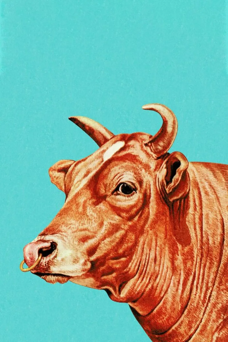 Deja-Moo III carta hahnemühle da Flora & Fauna
