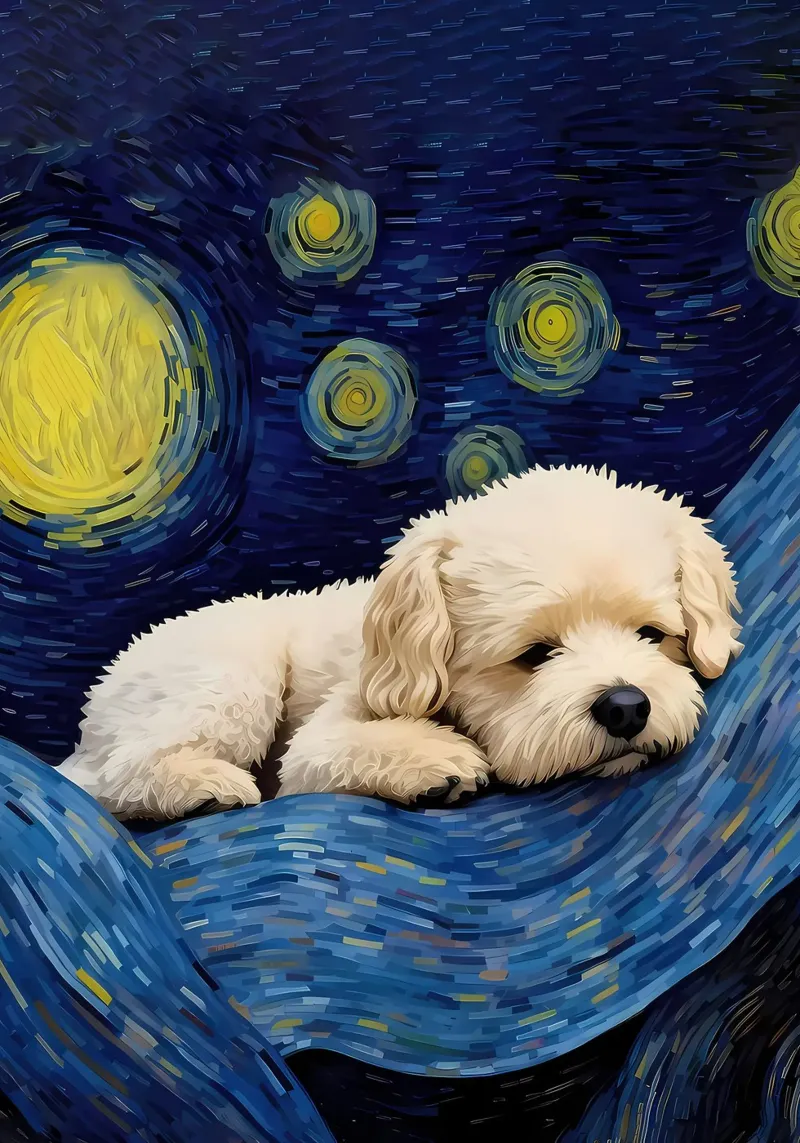 notte stellata cane Sleepy pellicola backlit da Adrian Patel