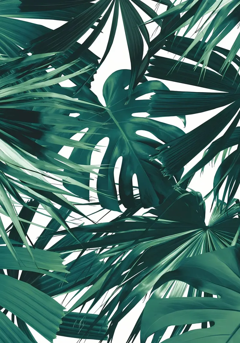 Tranquilo Jungle 1 pellicola backlit da Nicholas Campbell