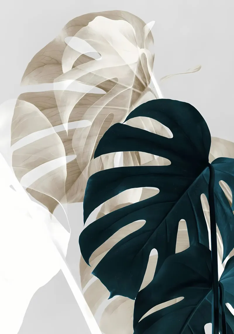 Monstera Creativa 05 plexiglass da Nicholas Campbell