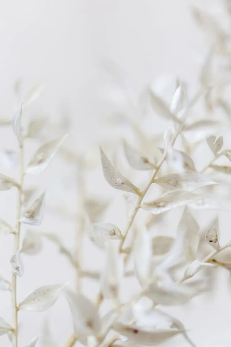 A Brighter Place alu-dibond by Flora & Fauna