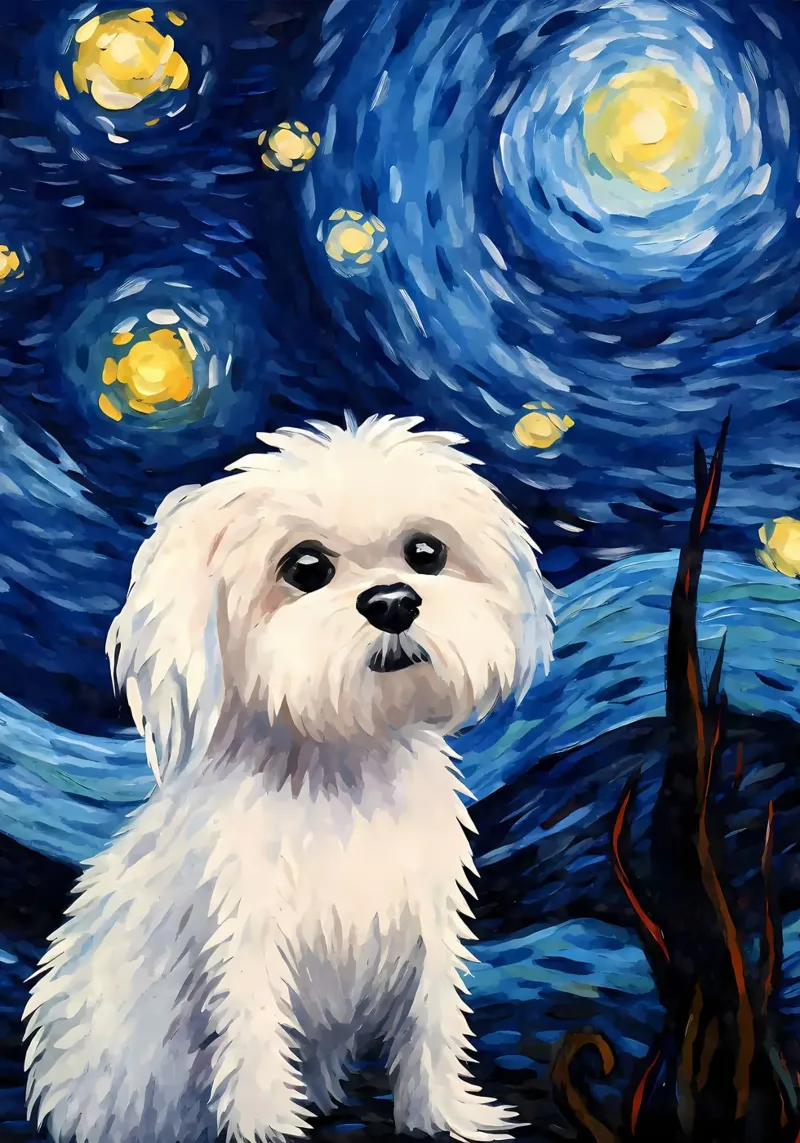 Cane maltese Notte stellata pellicola backlit da Adrian Patel