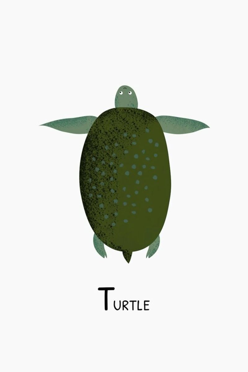 T for Turtle pellicola backlit da Little Flourishes