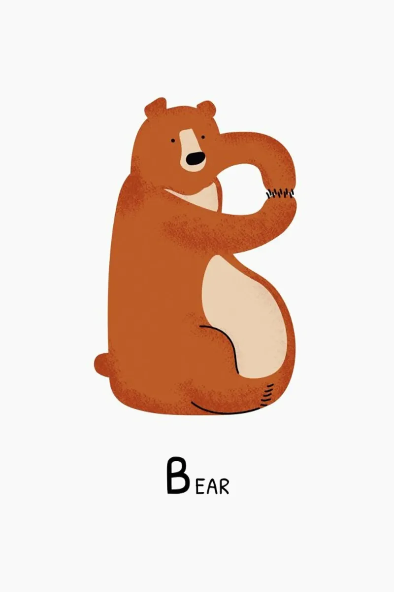 B for Bear pellicola backlit da Little Flourishes