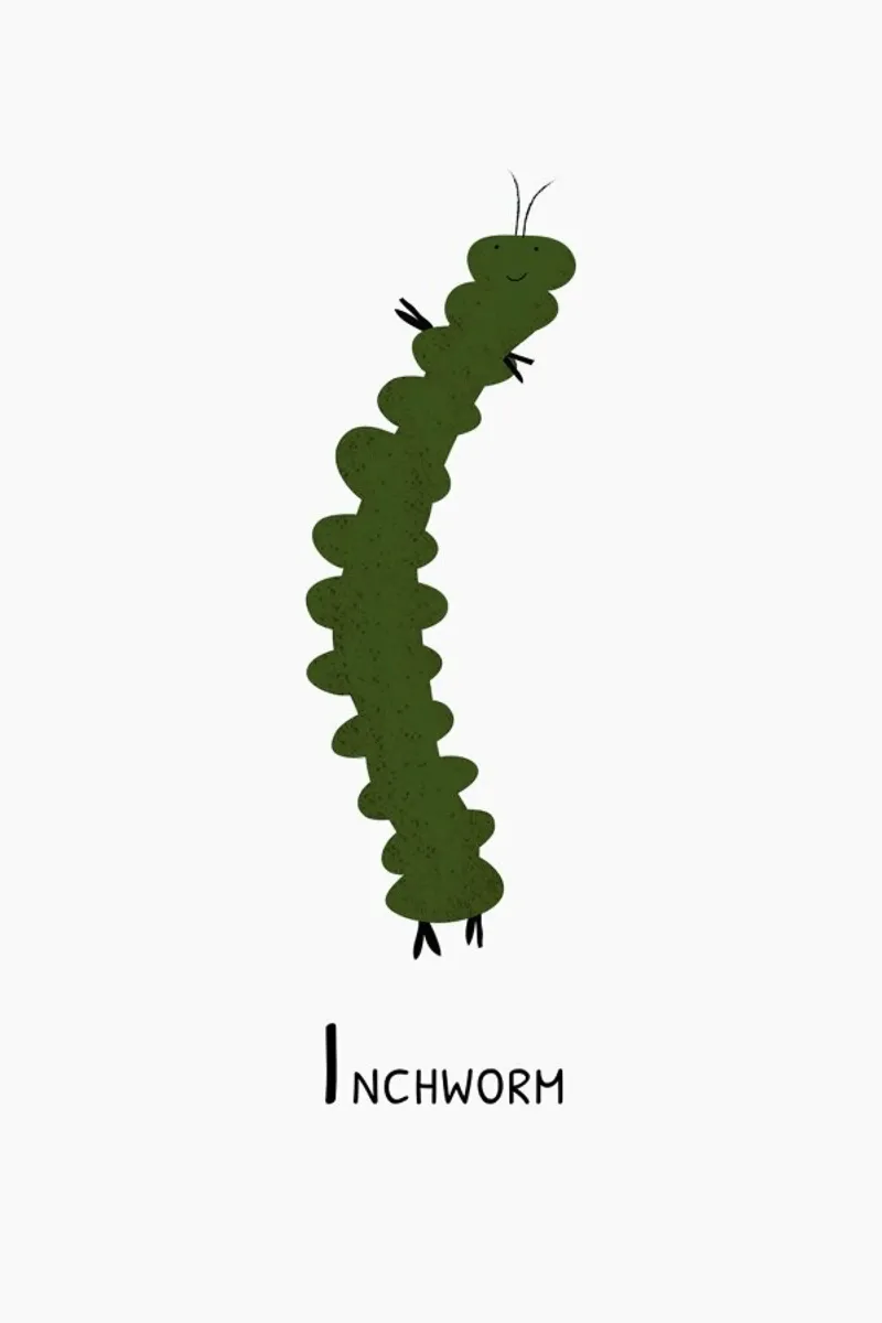 I for Inchworm pellicola backlit da Little Flourishes