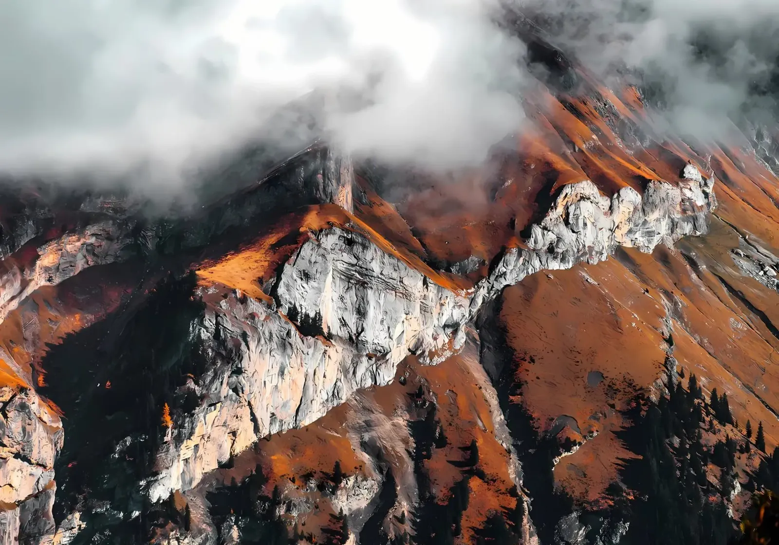 Natural environment view alu-dibond by Matthew Katz