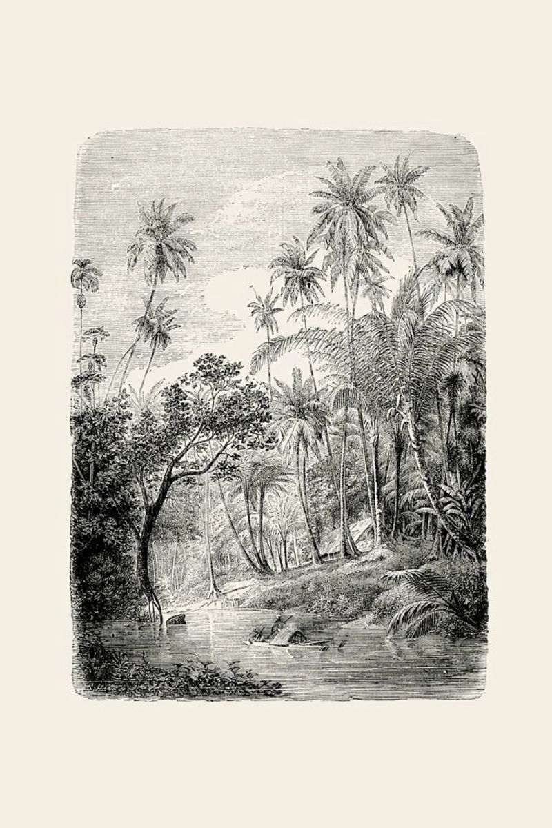 Sri Lanka poster van Flora & Fauna