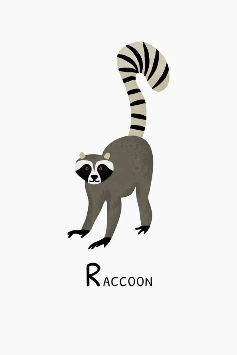 Raccoon pellicola backlit da Little Flourishes