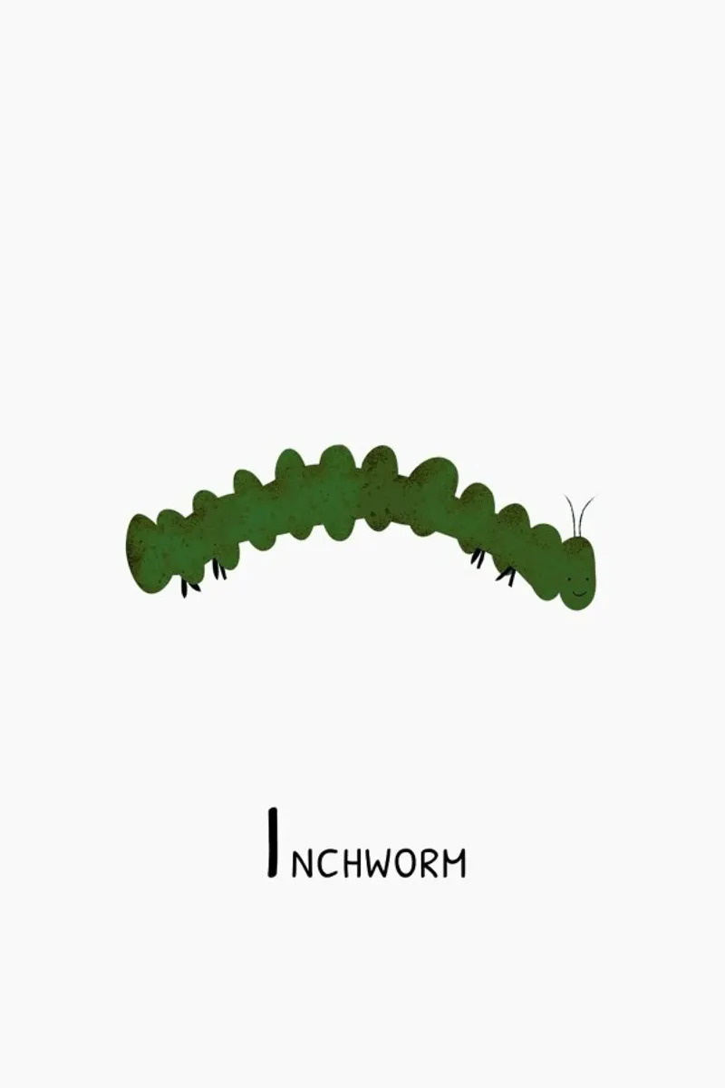 Inchworm pellicola backlit da Little Flourishes