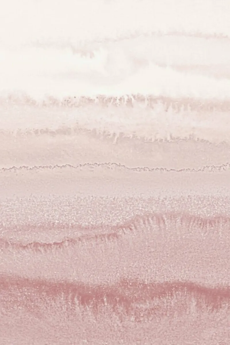 Within The Tides - Ballerina Blush poster con telaio in plastica da Monika Strigel