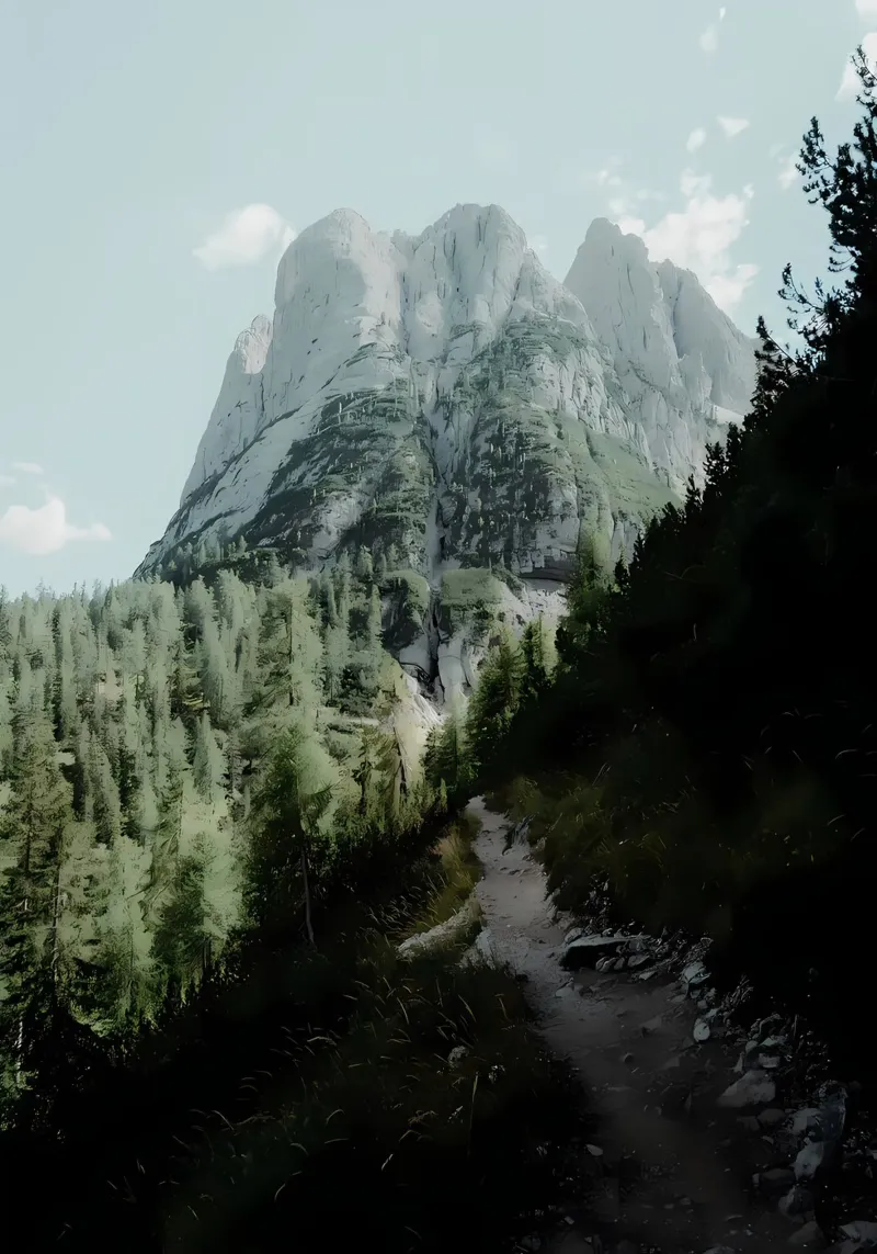 Mountain trail backlit film by Matthew Katz
