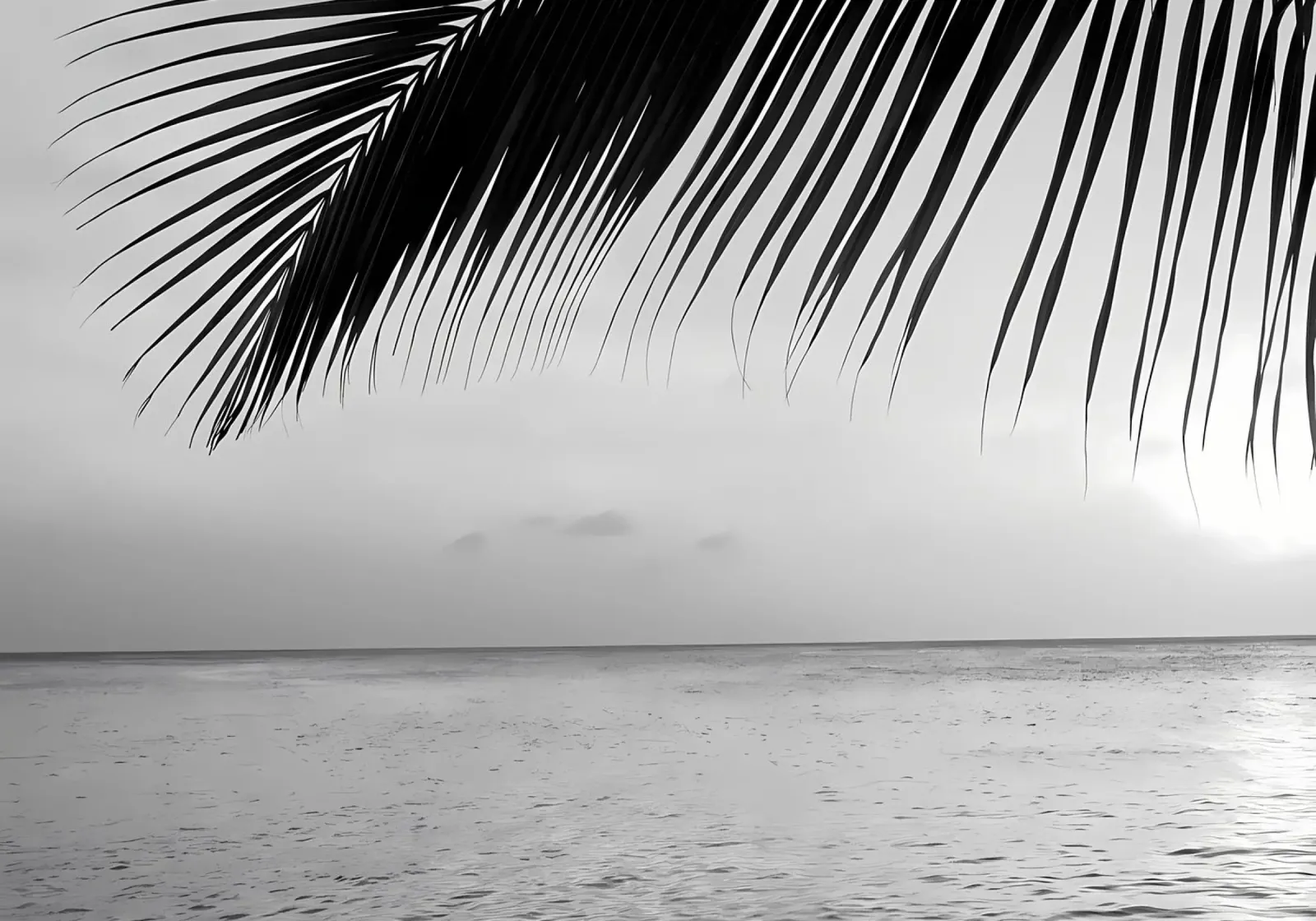 Tramonto Caraibico Oceano 3 pellicola backlit da Matthew Katz