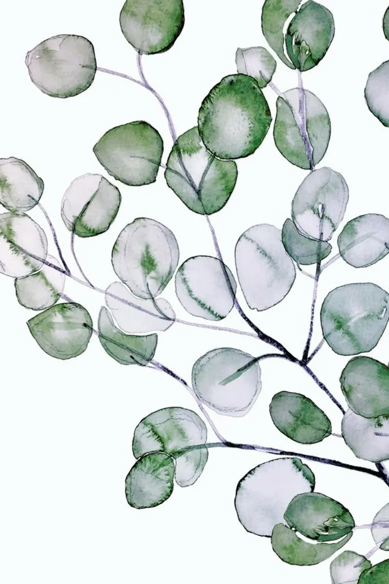 Eucalyptus Watercolor poster con telaio in plastica da Monika Strigel