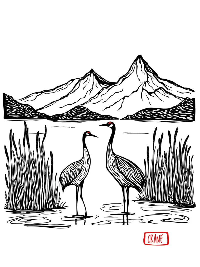 Cranes in Harmony poster con telaio in alluminio da Indigo Rain