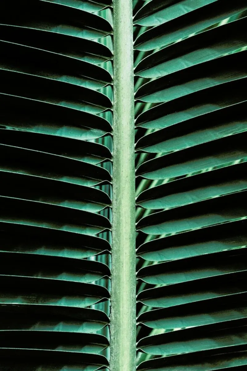 Palm Edges alluminio dibond da Flora & Fauna