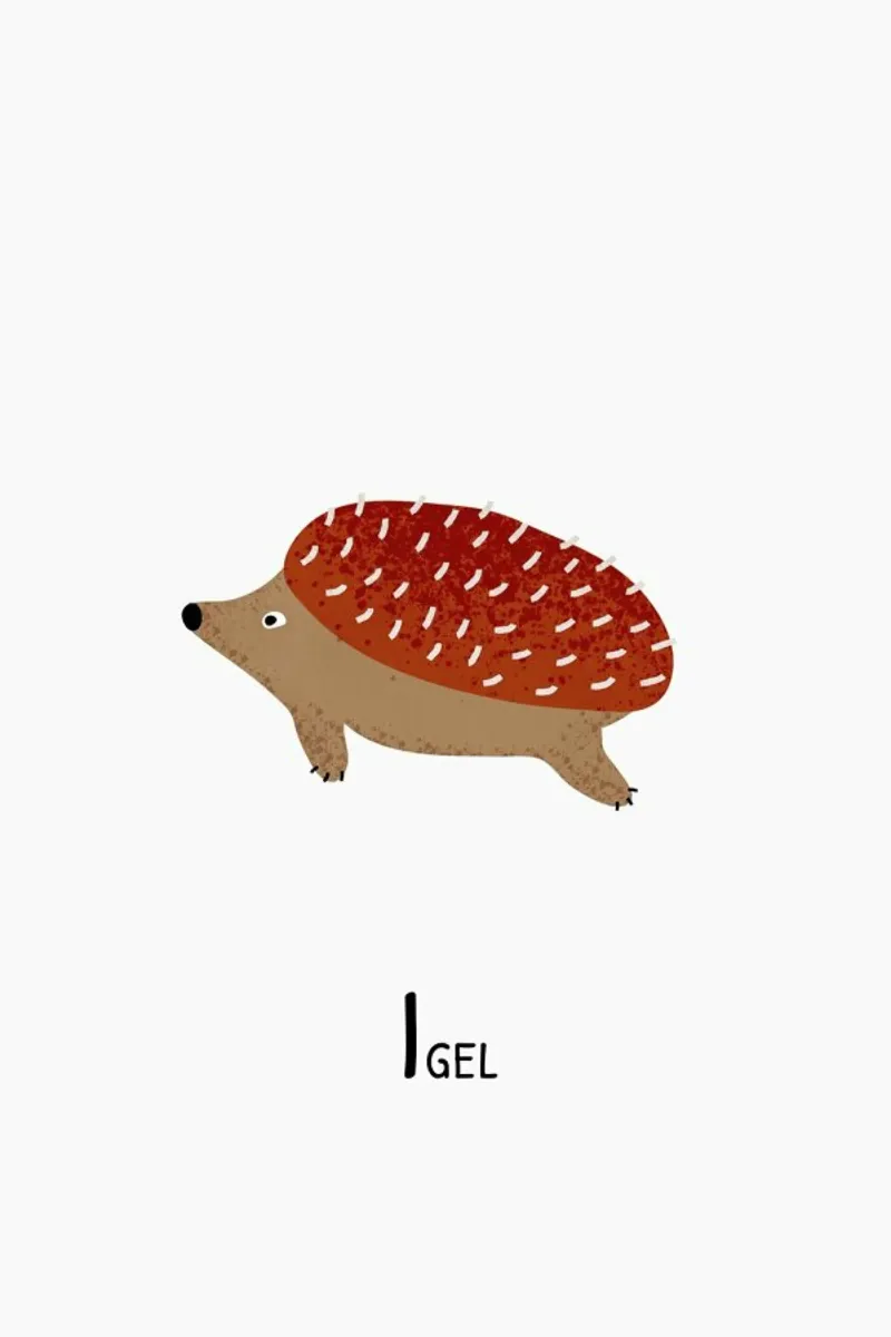 Igel pellicola backlit da Little Flourishes