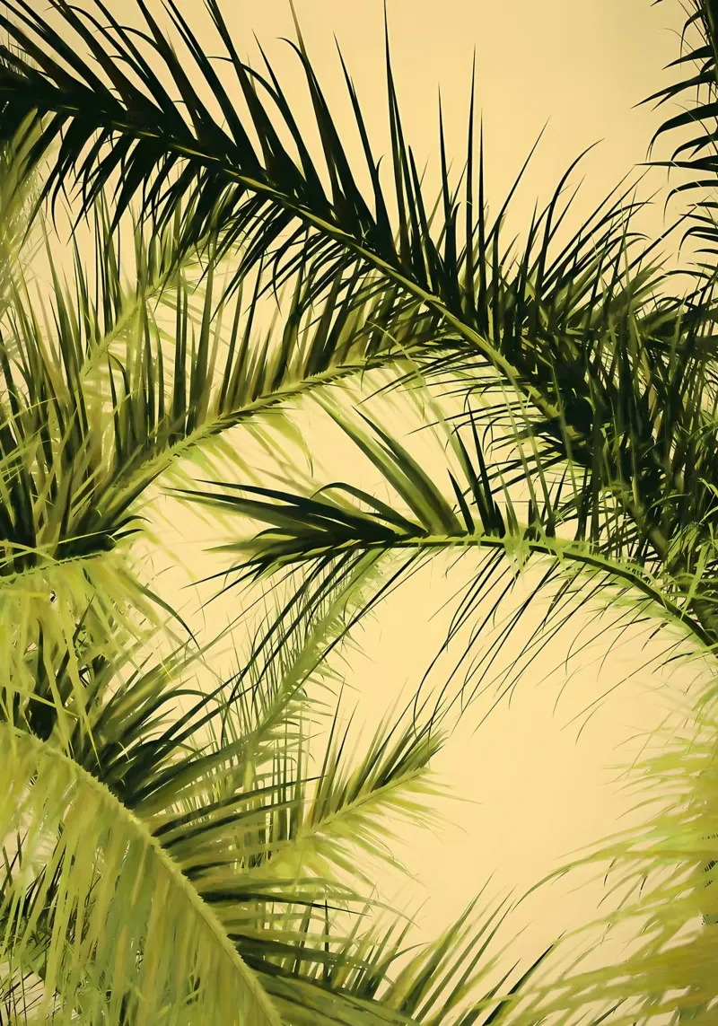 Fogliame tropicale 5 poster con telaio in legno da Matthew Katz