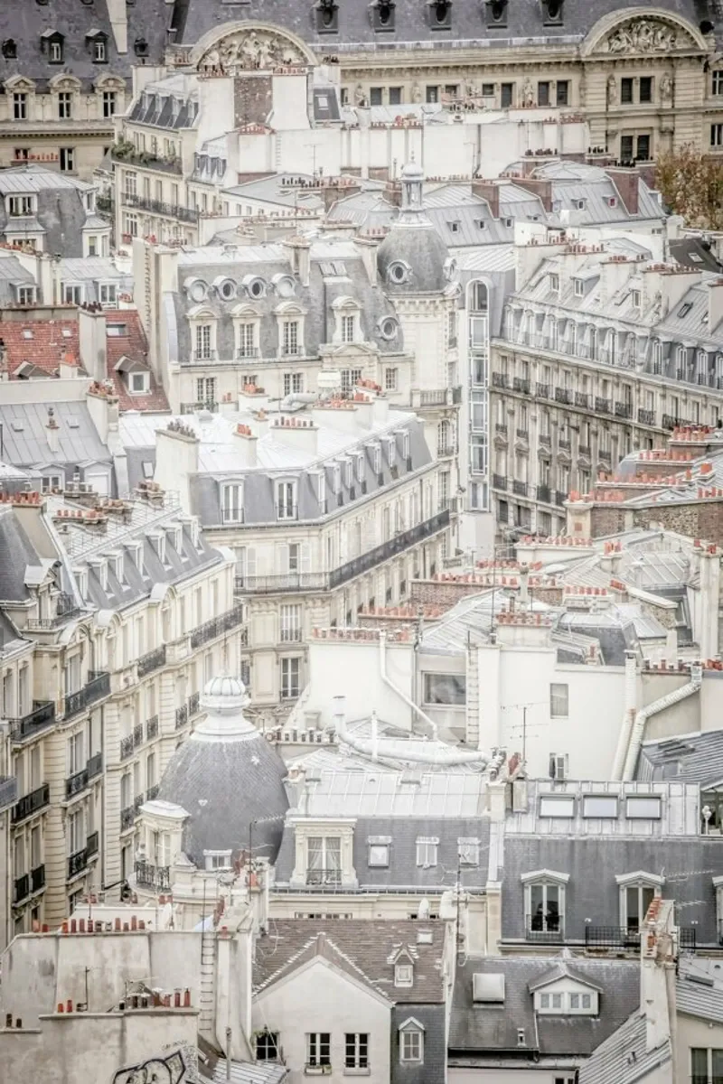 Rooftops Of Paris pellicola backlit da Magdalena Martin Photography