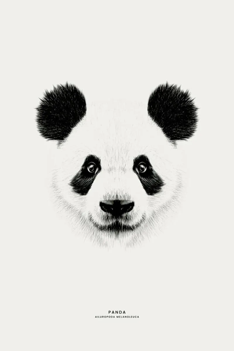 Panda pellicola backlit da Flora & Fauna