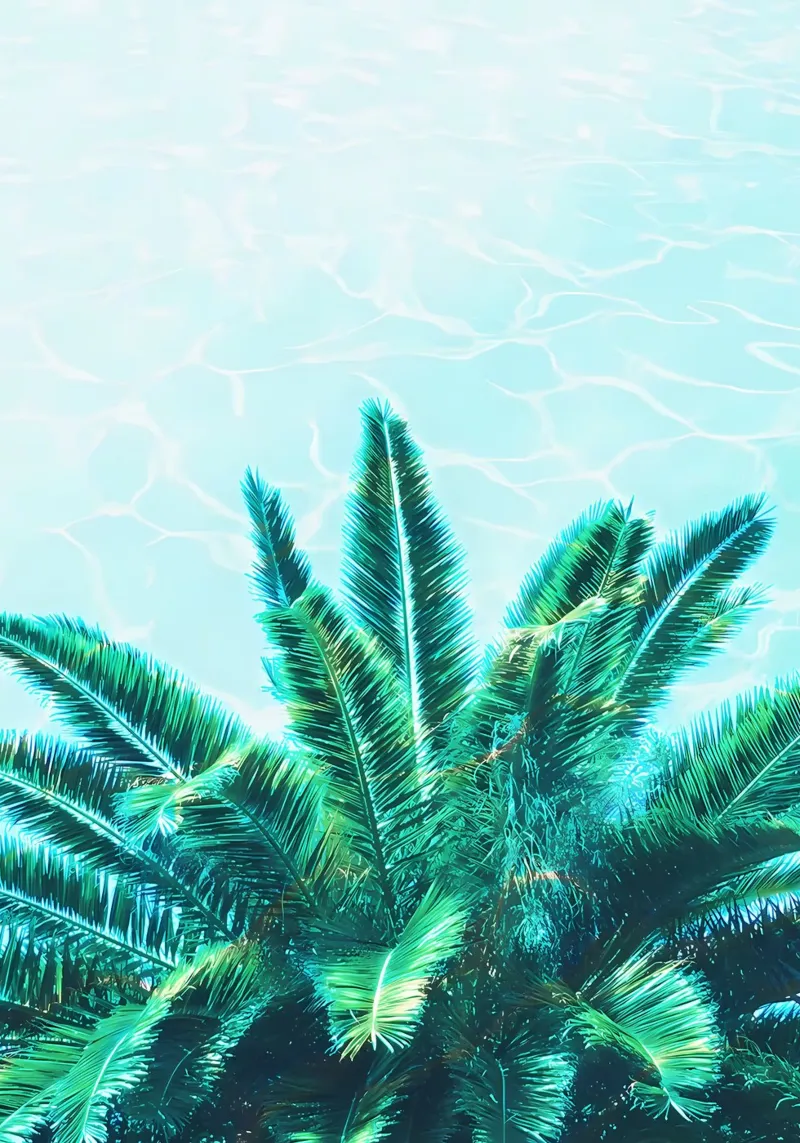 Palm Chill pellicola backlit da Matthew Katz
