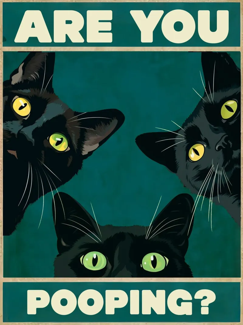 Are you Pooping? Peeking Black Cats Funny Bathroom backlit film by Peaches Art Prints