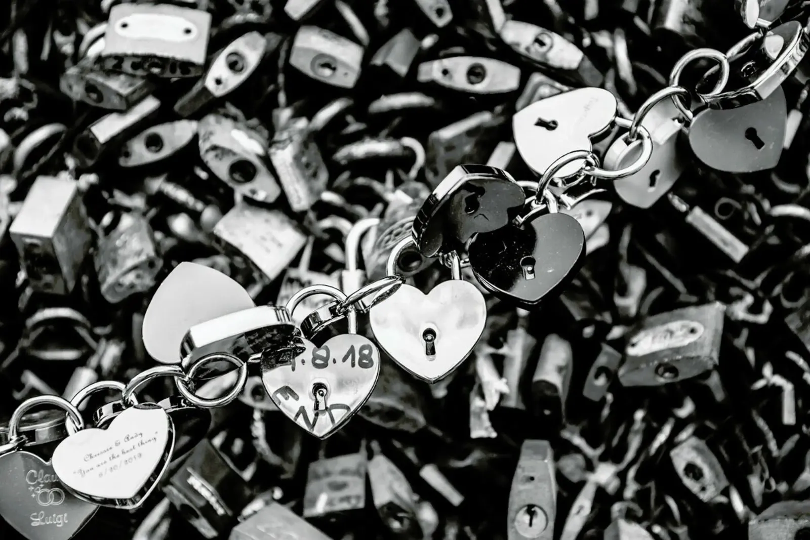Lovelocks pellicola backlit da Magdalena Martin Photography