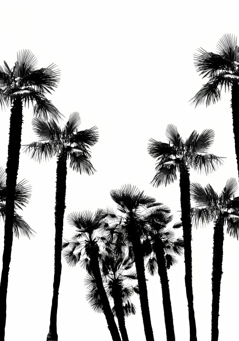 Tropical Palm Trees 2 hahnemühle by Matthew Katz
