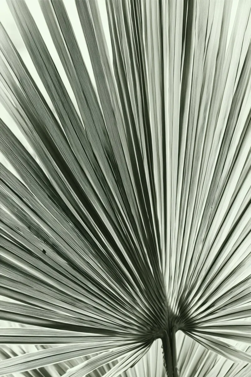 Palmwedel-Kunst Poster von Indigo Tides Art