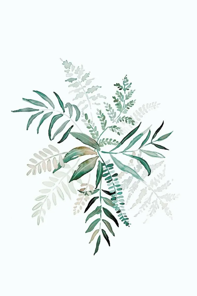 Fern pellicola backlit da Farina Kuklinski