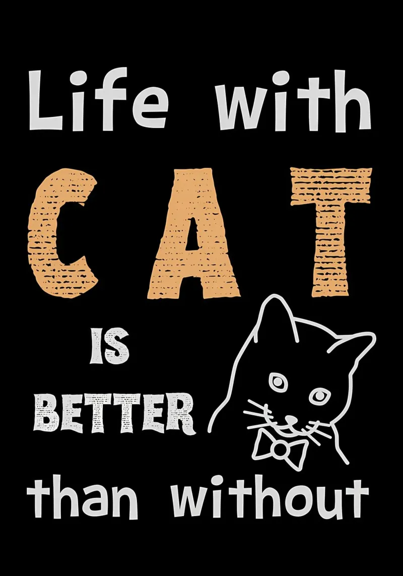 La vida con gato es mejor metacrilato de Bartosz Powalka