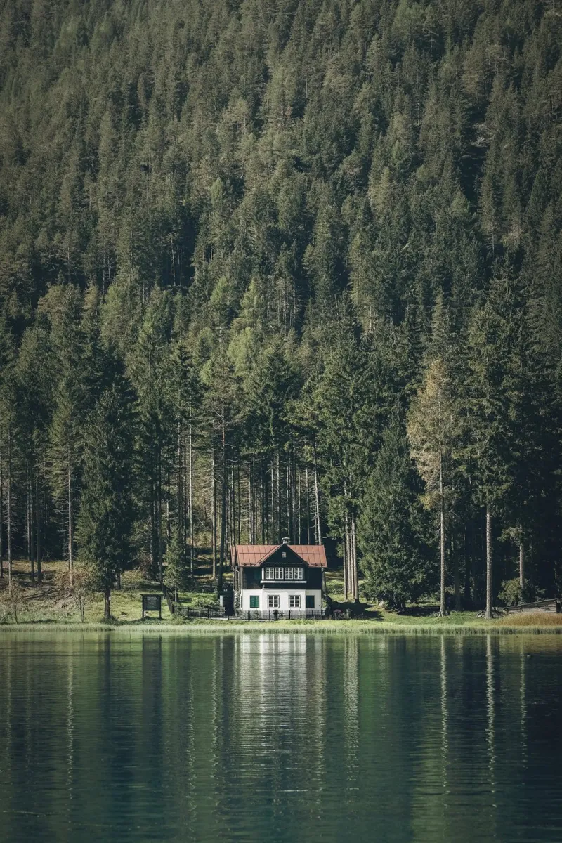 Dolomiti, Italia I Chalet in legno sul lago di Dobbiaco poster da Julie Travel Photography