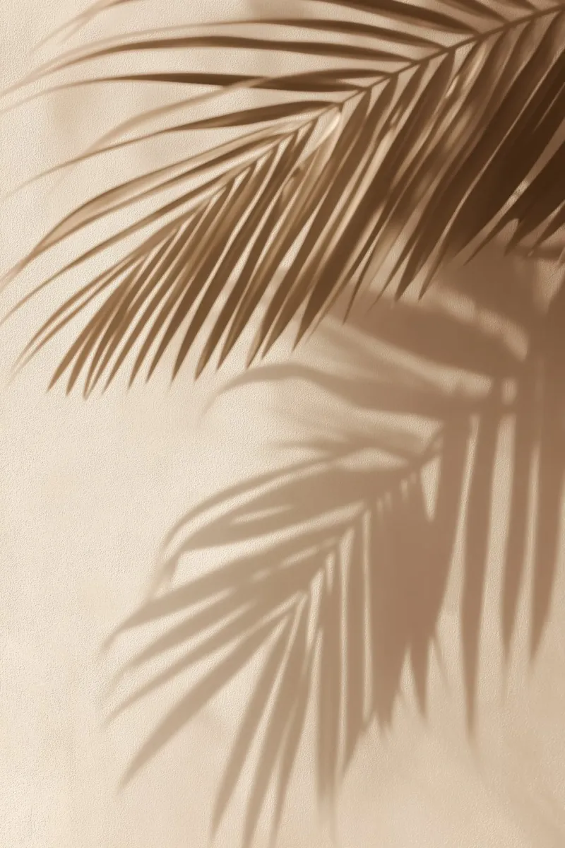 Palmblad schaduwen canvas van Indigo Tides Art