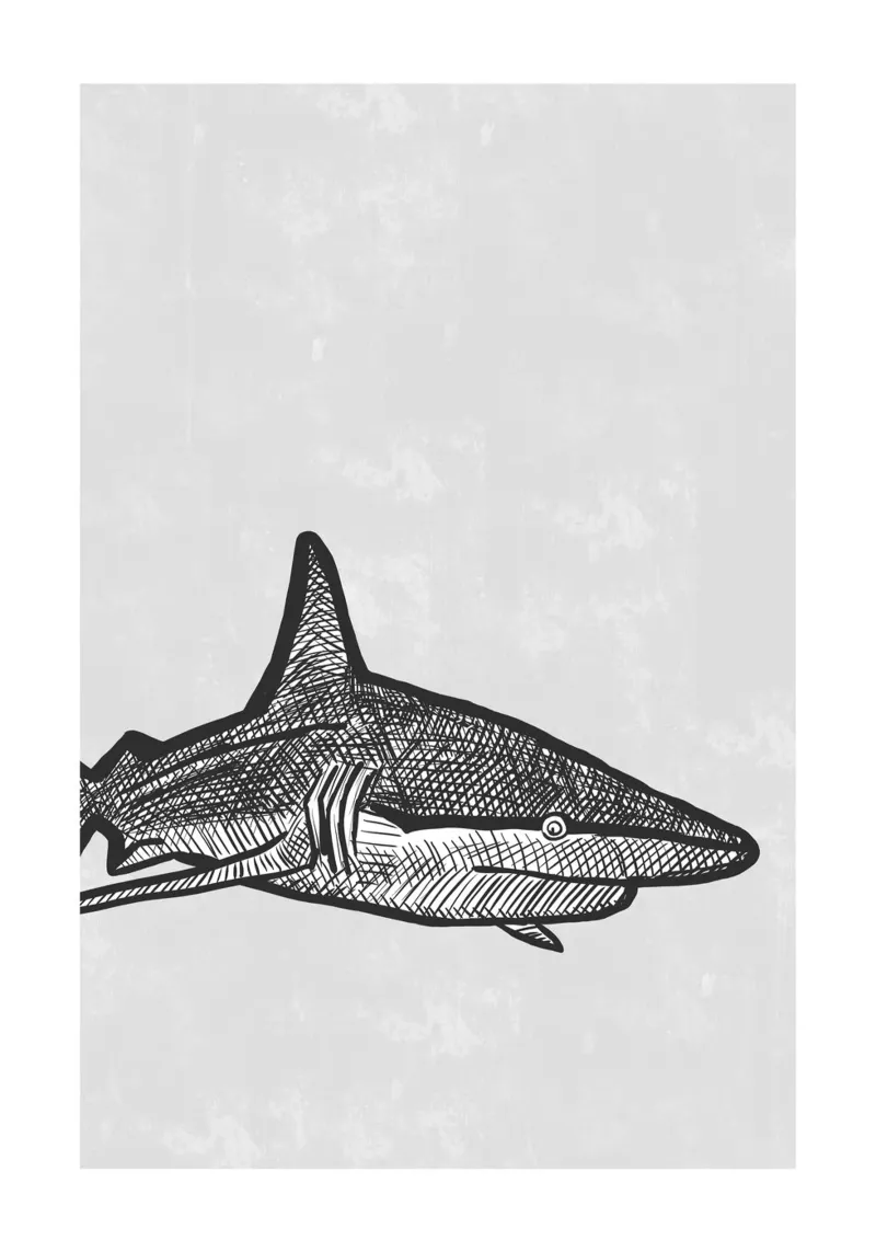 Bullshark carta hahnemühle da BAINAI
