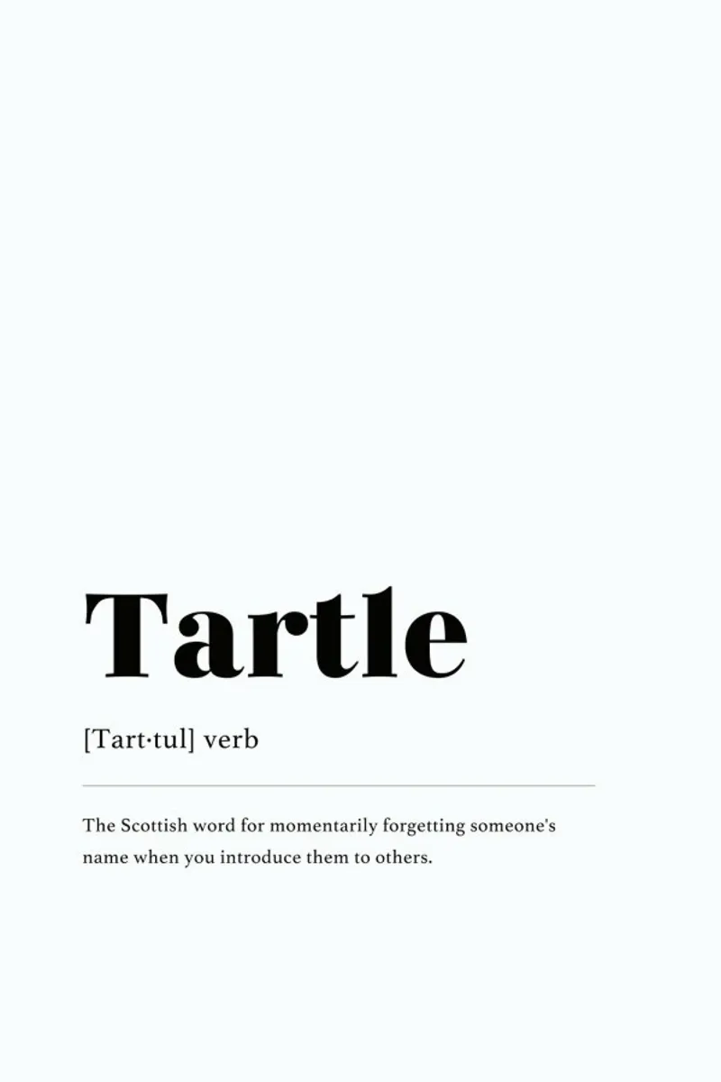 Tartle pellicola backlit da daylight design studio