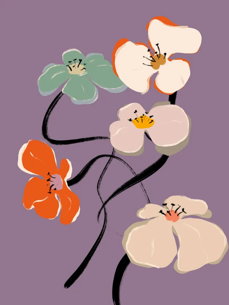 Zen Flowers No 04 pellicola backlit da treechild