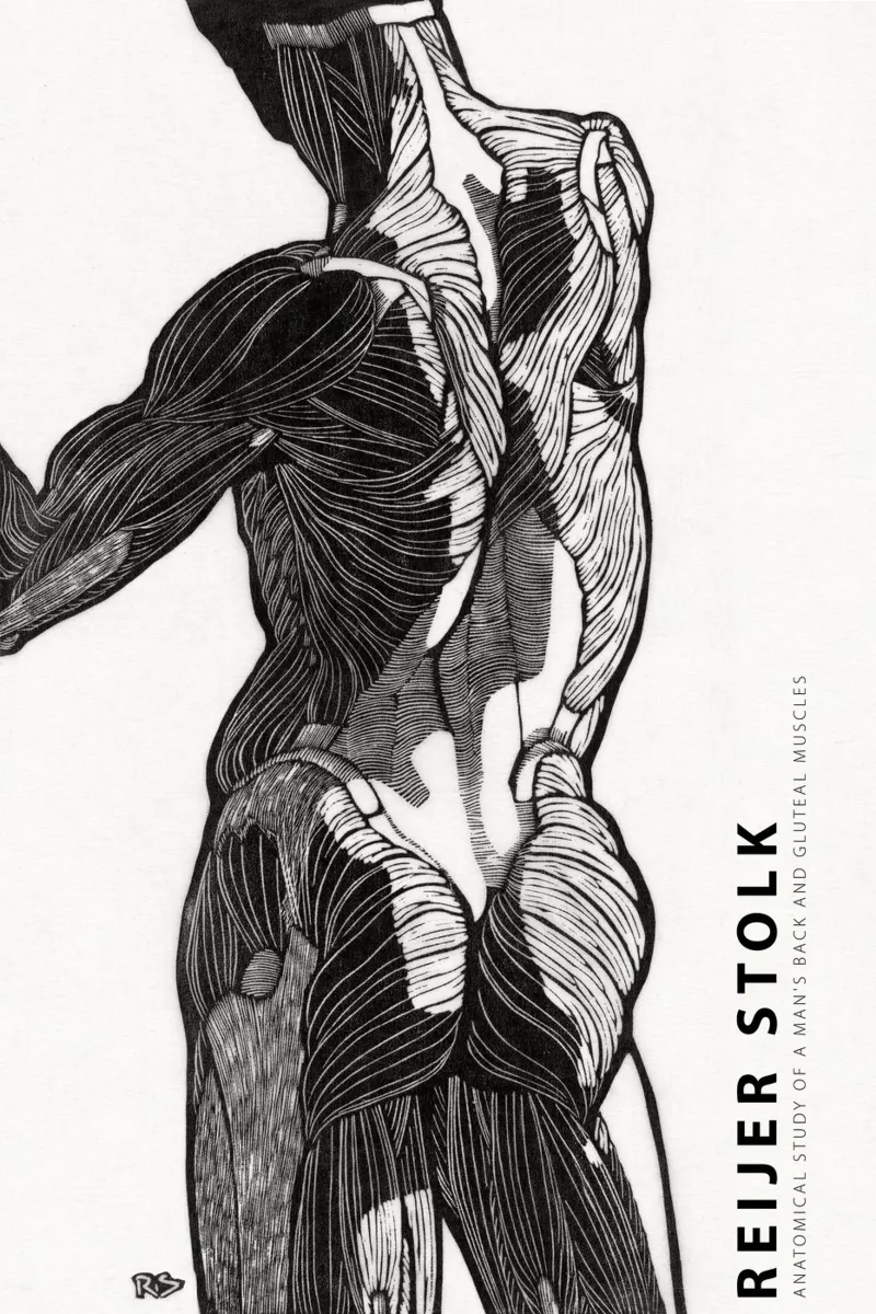 Reijer Stolk - Studio anatomico di un uomo 01 tela da Old Masters
