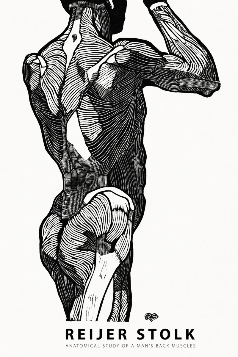 Reijer Stolk - Studio anatomico di un uomo 02 tela da Old Masters