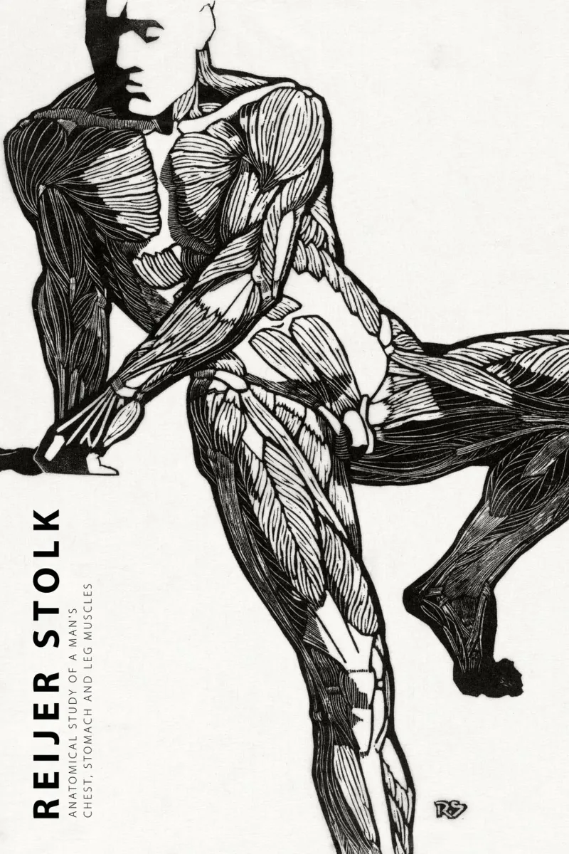 Reijer Stolk - Studio anatomico di un uomo 03 poster da Old Masters