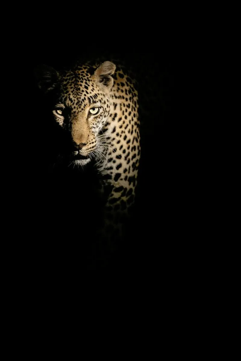 Out of The Darkness - Richard Guijt plexiglass da Pictufy