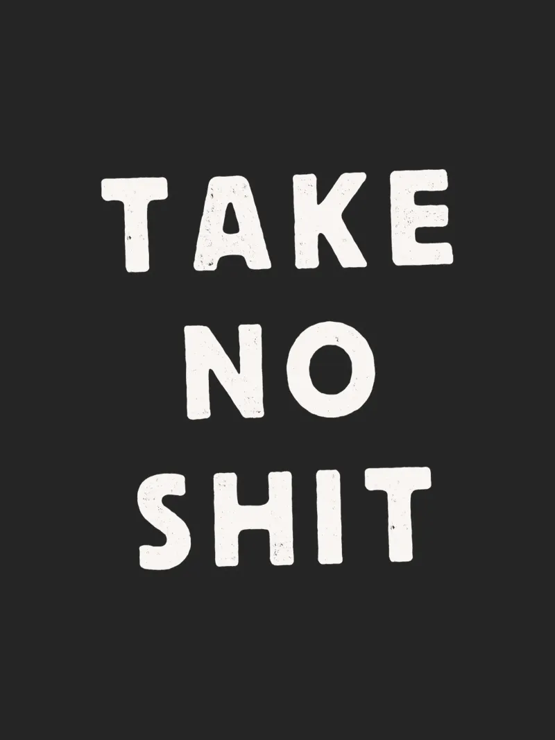 Take No Shit Sassy Sarcastic Typography Print in Black White canvas by THE MOTIVATED TYPE